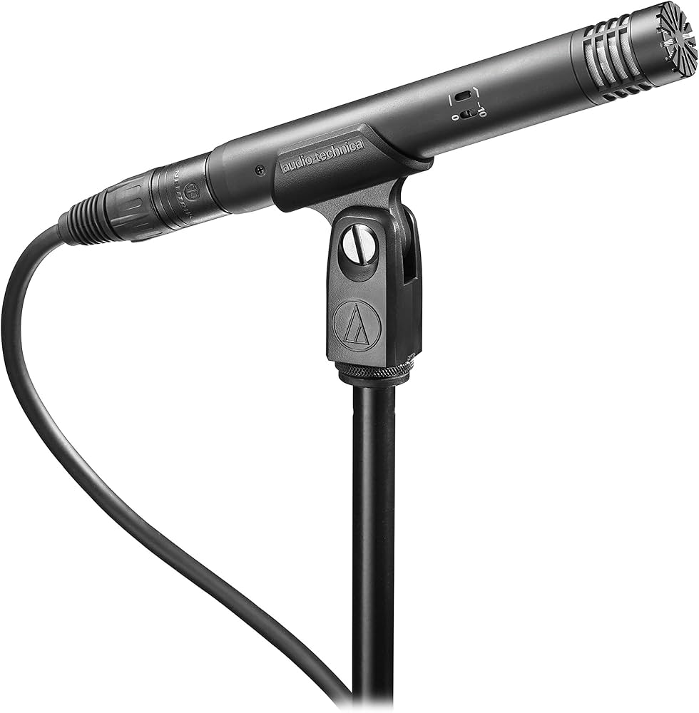 microphone